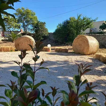 度假居 Il Trullo Della Nonna *